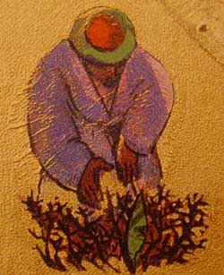 Sower Detail